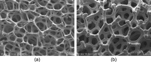 金属沉积工艺制备的不同厚度泡沫镍样品的SEM图像:(a)镍层较薄;(b)较厚的镍层